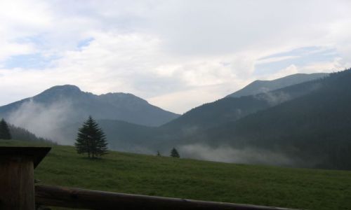 Zdjecie POLSKA / Tatry / Tatry / Chochoowska 