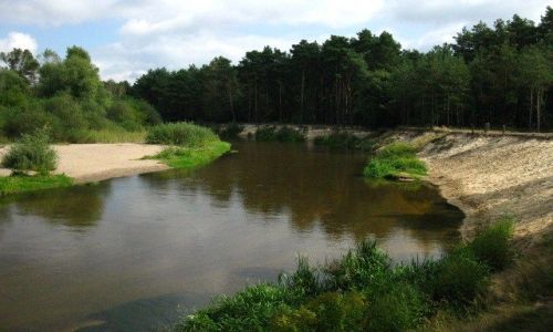 Zdjecie POLSKA / Mazowsze / Mazowiecki Park Krajobrazowy / rzeka wider 
