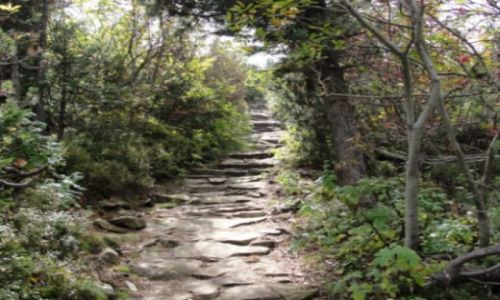Zdjecie POLSKA / Beskid ywiecki / Babia Gra / Babia Gra 2