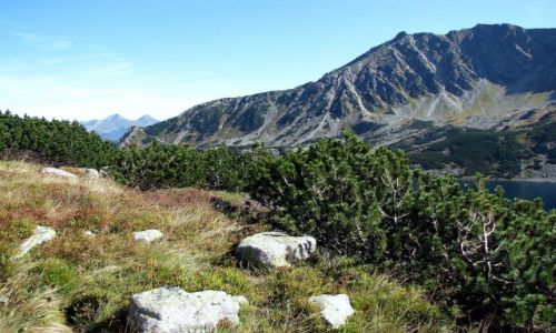 Zdjęcie POLSKA / TATRY / DROGA NA KOZI WIERCH / W DRODZE NA KOZI WIERCH