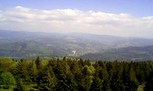 Zdjecie POLSKA / Beskidy / Na grze / Czantoria.