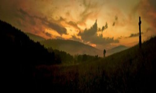 Zdjęcie POLSKA / Beskid Niski / Radocyna / I