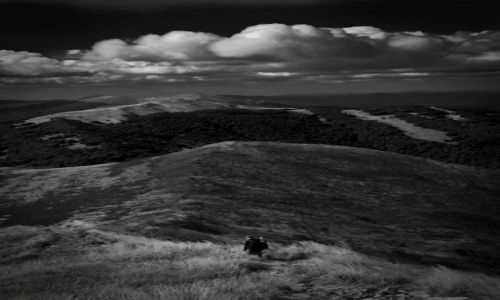 Zdjecie POLSKA / Bieszczady  / Połonina Cyrańska / VIII