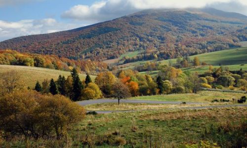 Zdjecie POLSKA / Bieszczady / Poonina Caryska / Kolorw mix 2