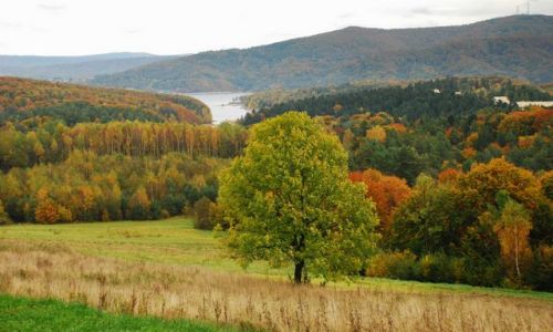 Zdjecie POLSKA / Bieszczady / Jezioro Myczkowskie / Kolorw mix 9