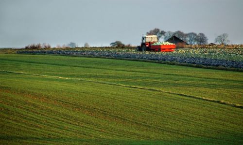 Zdjecie POLSKA / Miechów / Uniejów / kolorowo