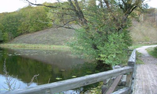 Zdjcie POLSKA / Suwalszczyzna / Suwalski Park Krajobrazowy / Turtul 
