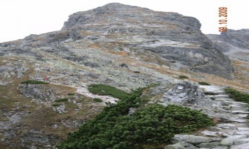 Zdjecie POLSKA / brak / Kocielec / Tatry
