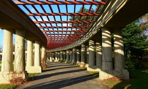 Zdjecie POLSKA / DOLNY ŚLĄSK-WROCŁAW / PARK SZCZYTNICKI-WROCŁAW- PERGOLA / KOLORY JESIENI