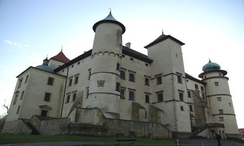 Zdjecie POLSKA / Maopolska / Nowy Winicz / Zamek w Nowym Winiczu