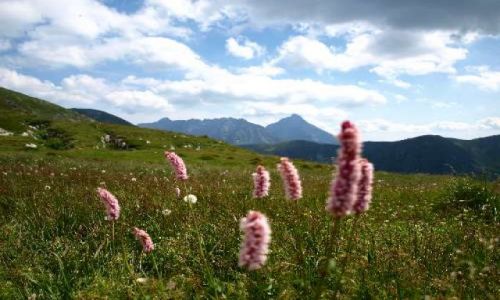 Zdjecie POLSKA / Zakopane / Kasprowy Wierch / Na Kasprowym
