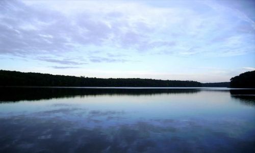 Zdjęcie POLSKA / Wielkopolska / Wielkopolski Park Narodowy / Jezioro Góreckie