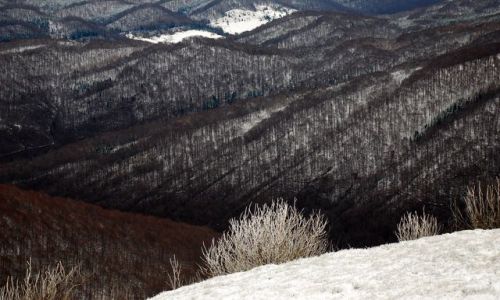 Zdjecie POLSKA / Bieszczady / Połonina Wetlińska / Obrazki bożonarodzeniowe VII