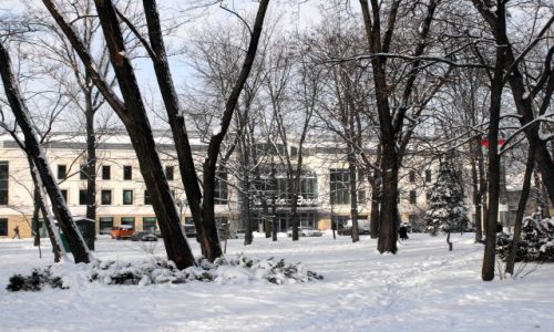 Zdjcie POLSKA / Radom / park przed Galeri Rosa / zima 2010