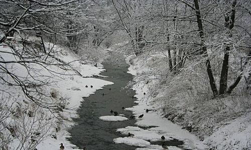 Zdjecie POLSKA / Maopolska / Krakw / Krakowski park...