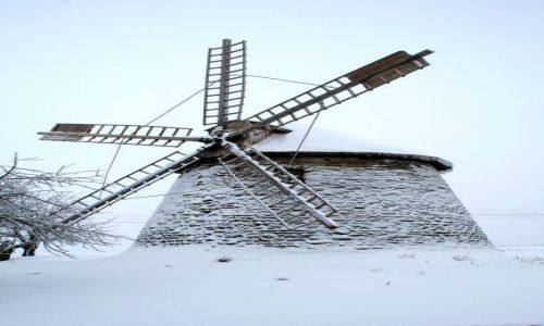 Zdjecie POLSKA / witokrzyskie / Szwarszowice / Wiatrak