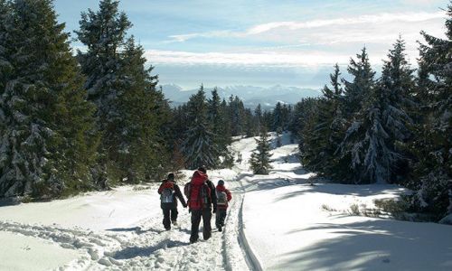 Zdjecie POLSKA / Beskid ywiecki / czerwony szlak z Wielkiej Raczy / W drodze na Przegibek
