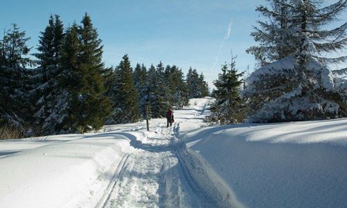 Zdjecie POLSKA / Beskid ywiecki / czerwony szlak z Wielkiej Raczy / W drodze na Przegibek