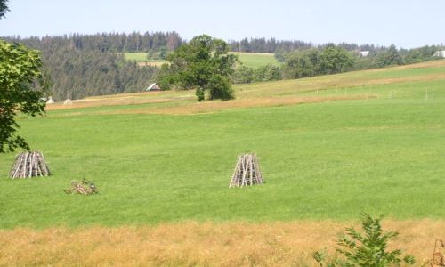 Zdjecie POLSKA / Zakopane / Zakopane / Widok z okna
