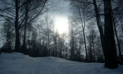 Zdjęcie POLSKA / Beskid Żywiecki / Brenna / Nieśmiałe przebłyski słońca.
