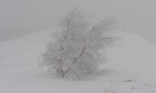 Zdjecie POLSKA / beskid lski / batnia / zima