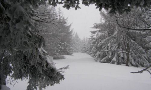 Zdjecie POLSKA / beskid lski / batnia / zima