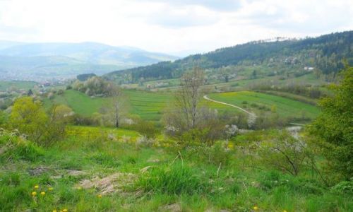 Zdjęcie POLSKA / Beskidy / Radziechowy / KONKURS-wiosennie