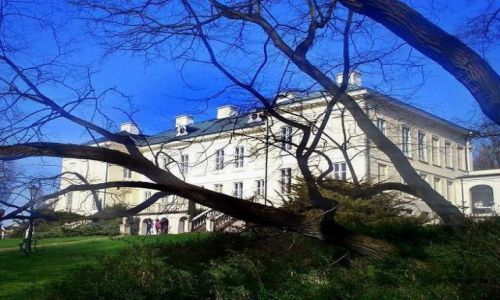 Zdjecie POLSKA / łodzkie / Walewice / Pałac w Walewicach
