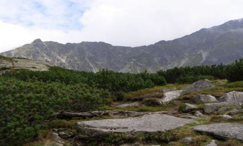 Zdjecie POLSKA / Tatry / Dolina Piciu Staww / grski pejza