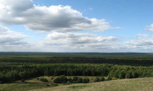 Zdjecie POLSKA / lsk / Pustynia Bdowska ze wzgrza Czubatka / Polska Sahara czyli Pustynia Bdowska
