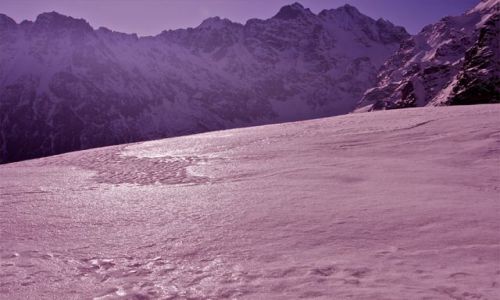 Zdjecie POLSKA / Tatry / Szlak na Szpiglasow Przecz / Zimowy Kwiecie w Tatrach