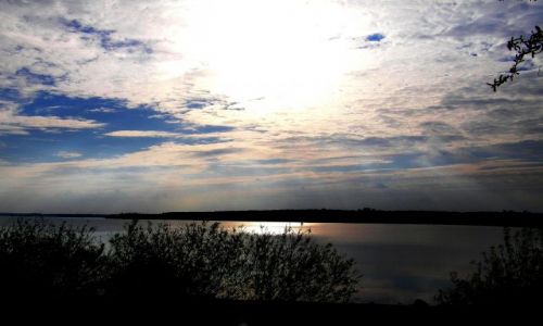 Zdjęcie POLSKA / łodzkie / okolice Tomaszowa Mazowieckiego / Zalew Sulejowski