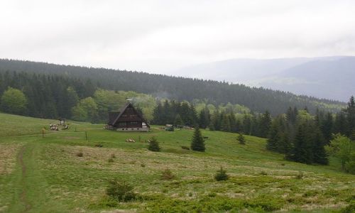 Zdjcie POLSKA / Beskid  ywiecki / Rycerzowa / moje wdrowanie po Beskidach ...czyli bacwka, morze chmur i... pusto :-)