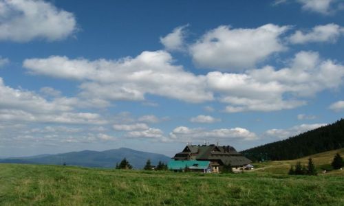 Zdjęcie POLSKA / Beskid  Żywiecki / Hala Miziowa / moje Pilska podboje... obłoczkowo na Hali ... hej!