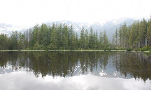 Zdjecie POLSKA / Tatry Zachodnie / Smreczyński Staw / moje wędrówki po Tatrach...jak ktoś chce usłyszeć jak brzmi cisza to tylko tutaj