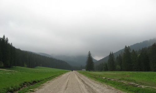 Zdjecie POLSKA / Tatry / Dolina Kocieliska / moje wdrwki po Tatrach.. miejsce 