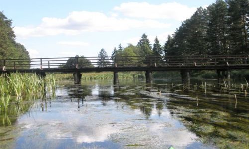 Zdjęcie POLSKA / podlasie / Wysoki Most / Czarna Hańcza
