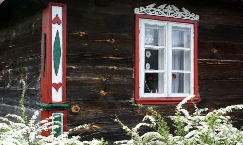 Zdjecie POLSKA / Podlasie / gdzieś nad Narwią / Wiejskie klinaty 4