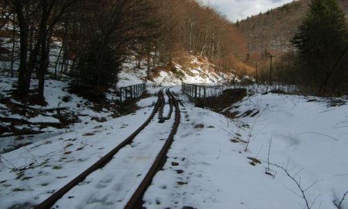 Zdjecie POLSKA / bieszczady / majdan / bieszczadzka kolejka...