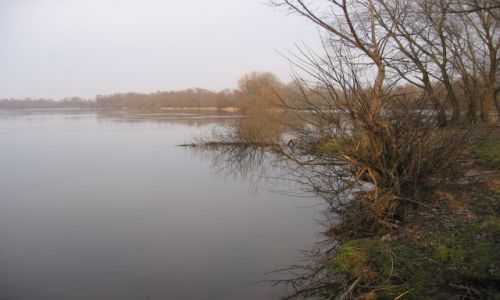 Zdjecie POLSKA / Mazowieckie / Narew / Przedwionie nad Narwi