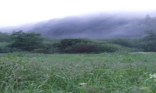 Zdjecie POLSKA / Bieszczady / Ustrzyki Grne / mga w Bieszczadach
