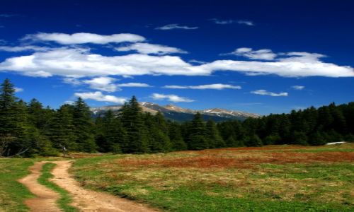 Zdjecie POLSKA / tatry / tatry / na szlaku