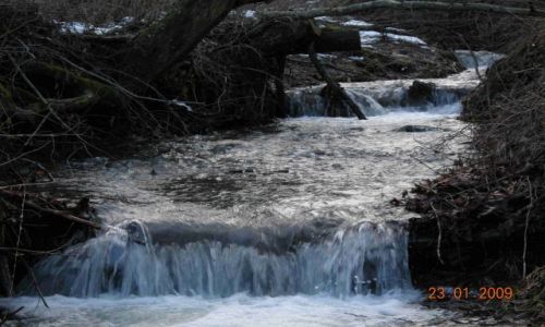 Zdjecie POLSKA / Bieszczady / Pod Jawornikiem / Potok