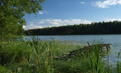 Zdjęcie POLSKA / Kaszuby / Bartoszylas / takie tam