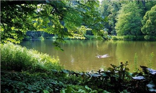Zdjęcie POLSKA / Warszawa / Park łazienkowski / W Parku Łazienkowskim