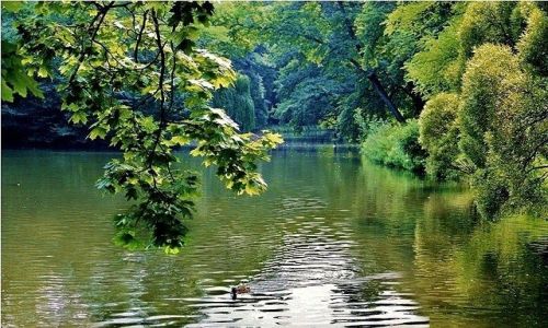 Zdjęcie POLSKA / Warszawa / Park łazienkowski / W Parku Łazienkowskim