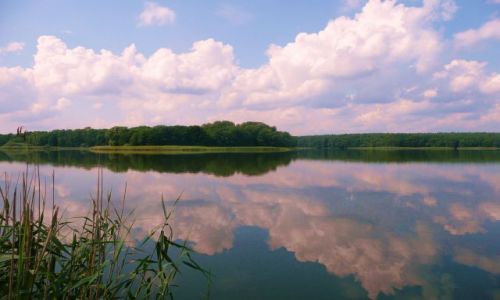 Zdjcie POLSKA / Zachodniopomorskie / Ostrowiec / Chmury w jeziorze 2