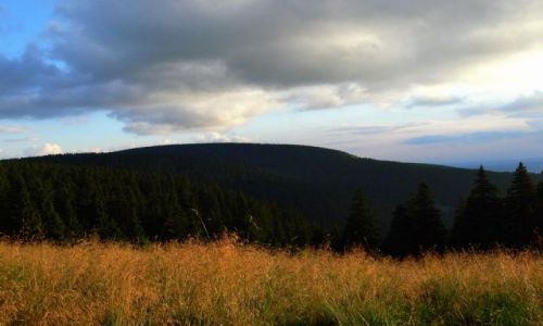 Zdjecie POLSKA / MASYW NIENIKA / widok na okoliczne szczyty / Hala  pod nienikiem