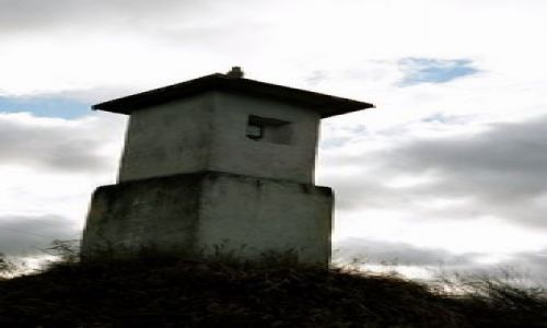 Zdjęcie POLSKA / Pogórze Przemyskie / Brylince / kk