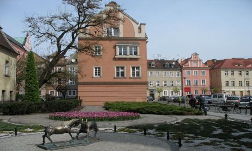 Zdjęcie POLSKA / Wielkopolska / Poznan / koziołeczki
